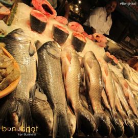 Book Fish in Bulk (B2B Sales)