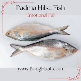 Padma Hilsa Fish (Paddar Ilish Maach) Jumbo Size