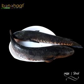 Shol Fish (Maach) 1KG (Cut and Cleaned)