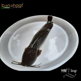 Shingi Fish (Maach) 1KG (Cut and Cleaned)