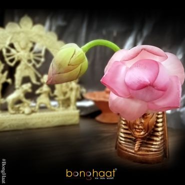 Fresh Pink Lotus Flowers 108 PCS
