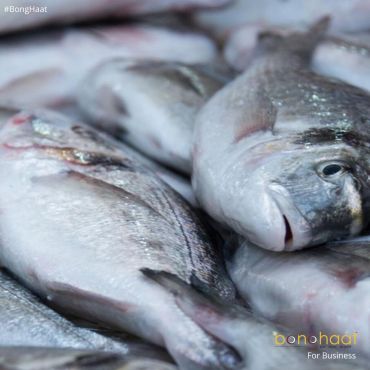 Book Fish in Bulk (Not for reselling)