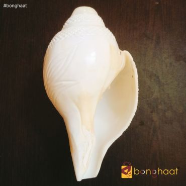 Blowing SHANKH / CONCH SHELL (polished)