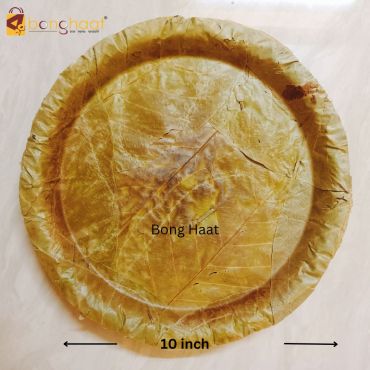 Sal Leaf Plate 2500 PCS | 10 inch size 