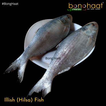 Hilsa Fish (Ilish Mach) Cut & Cleaned 1.3KG size 