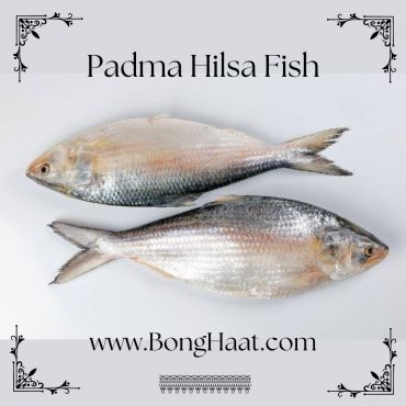 Padma Hilsa Fish (Paddar Ilish Maach) 1500G