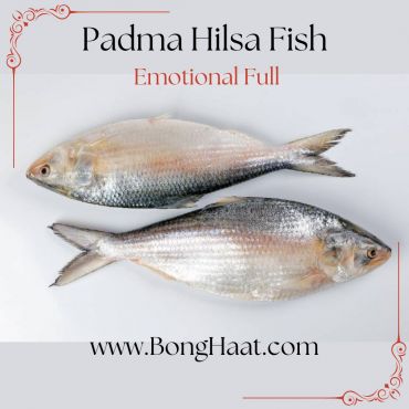 Padma Hilsa Fish (Paddar Ilish Maach) Jumbo Size